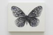 蝶 / Butterfly, 2014, 20×25×2.3cm（Photo：Kenji Takahashi）