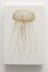 水母 / Jellyfish, 2011, 16×11×2.3cm（Photo：t.tanaka）